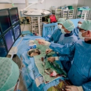 Δρ. Αναστάσιος Μίλκας M.D. PhD Επεμβατικός καρδιολόγος Εξειδίκευση στο Νοσοκομείο OLV των Βρυξελλών του Βελγίου